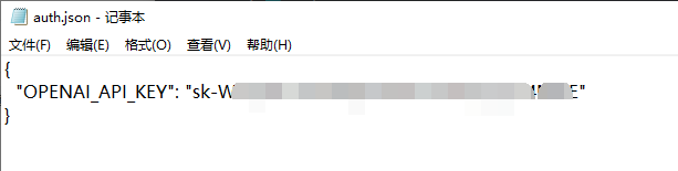 auth.json configuration