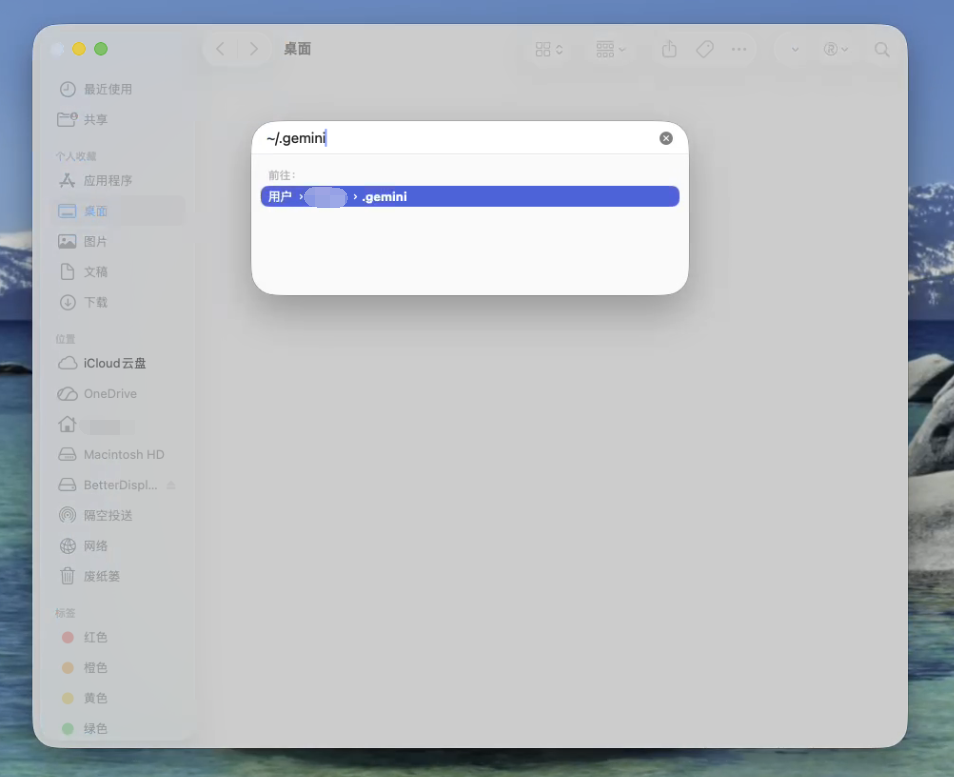 Open .gemini directory